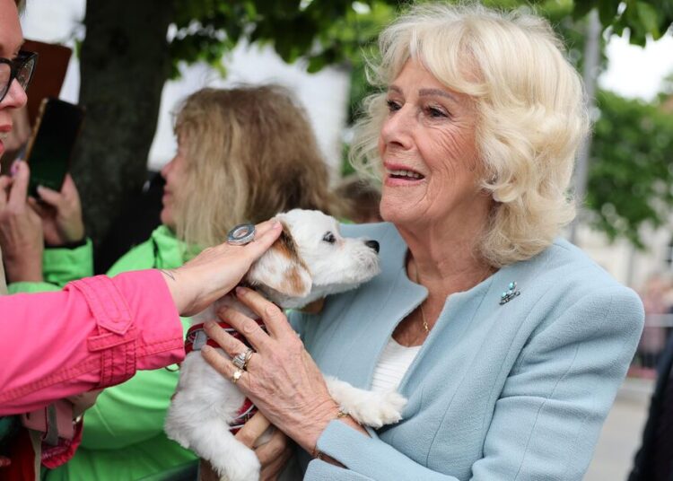 Queen Camilla gets royal fans talking after very special meeting | Royal | News