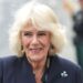 Queen Camilla's 'fury' over Sarah Ferguson's P-Diddy scandal exposed | Royal | News