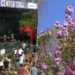Rochester Lilac Festival guide