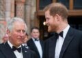 Royal Family LIVE: Palace fears over one 'danger' if Charles were to reunite with Harry | Royal | News