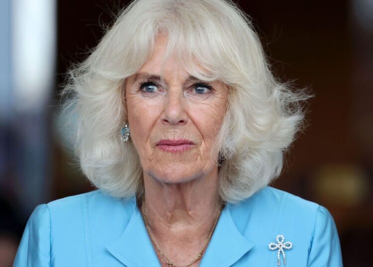 Royal author makes bizarre Queen Camilla claim | Royal | News