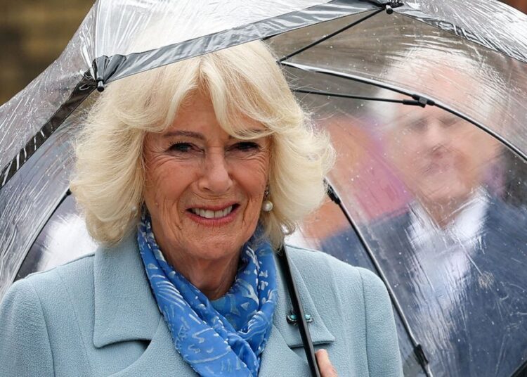 Royal fans in stitches after Queen Camilla nearly has 'accident' | Royal | News