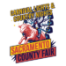 Sacramento County Fair: Carnival Lights & Country Nights Theme