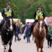 Soldier dies after falling from horse at Royal Windsor Horse Show - BBC