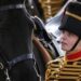 Horse rider