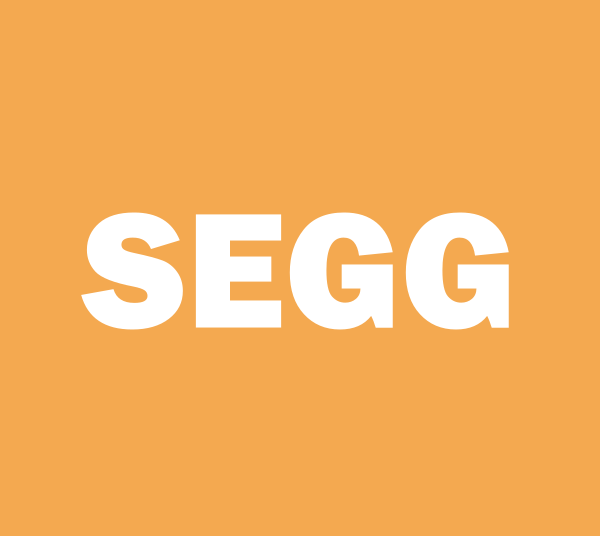 Sports Entertainment Gaming Global delays Q1 2026 10-Q | SEGG SEC Filing