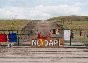 Standing Rock anniversary event to include music, speakers, celebrity visitors - InForum