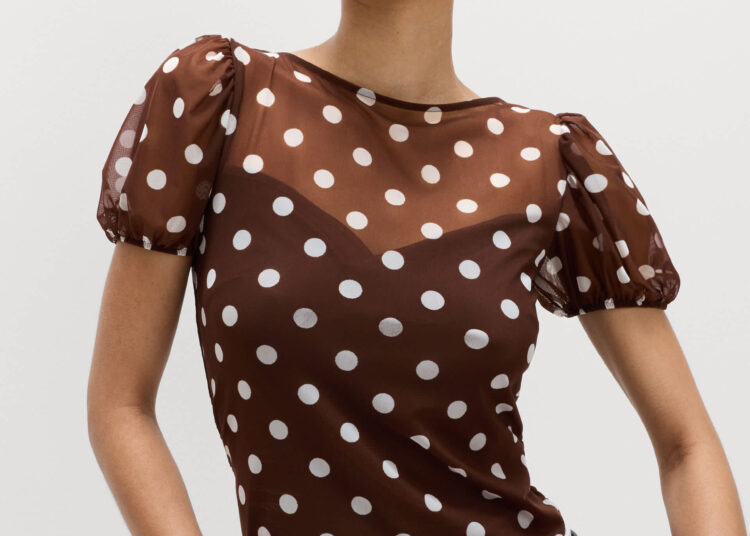 Mesh Polka Dot Fitted Top