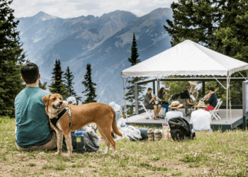 Person and dog enjoying live music at top of mountain