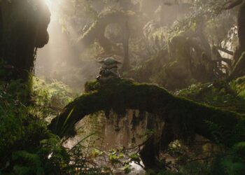 Grogu sitting and meditating on a tree branch in a swampy forest.