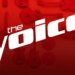 'The Voice' Gets New Coach for Season 30, and He's a Country Music Star