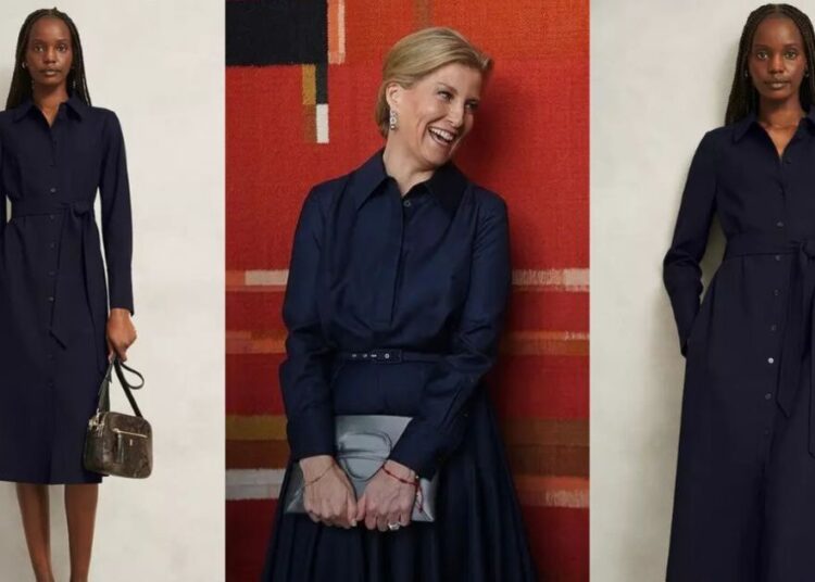This 'stylish' dress reminds us of Duchess Sophie's for £99 | Royal | News