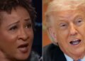 Wanda Sykes Reveals Her ‘No. 1’ Worry About Trump And It Escalates Fast
