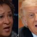 Wanda Sykes Reveals Her ‘No. 1’ Worry About Trump And It Escalates Fast