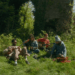 Watch Big Thief Debut Three Songs in an Irish Field