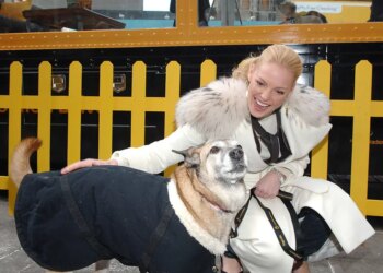 While Every Other Celebrity Tries To Get Rich With A Tequila Brand, Katherine Heigl Is Quietly Already A Dog Food Super Mogul