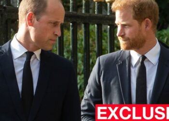 William 'irritated' as Harry says he was 'trapped' as royal - Celebrity News - Entertainment