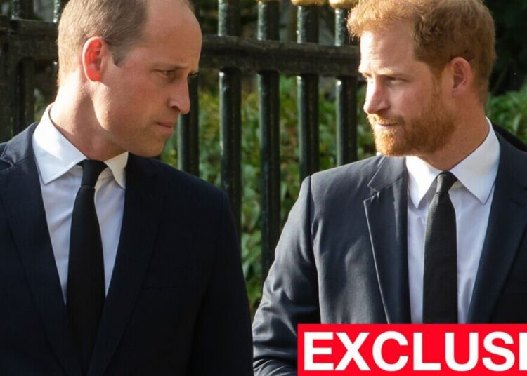 William 'irritated' as Harry says he was 'trapped' as royal - Celebrity News - Entertainment