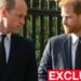 William 'irritated' as Harry says he was 'trapped' as royal - Celebrity News - Entertainment
