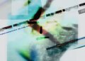 Xeno Ray JNB exceeds all expectations on new album, "Mono Modern"
