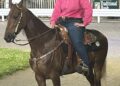 164th Shelby County Fair brings the fun and entertainment to the Shelby County Fairgrounds | Morning