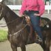 164th Shelby County Fair brings the fun and entertainment to the Shelby County Fairgrounds | Morning