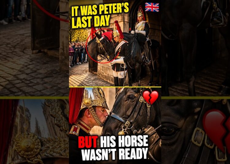 It Was Peter’s Last Day As A Royal Guard… But His Horse Wasn’t Ready 🇬🇧💔
