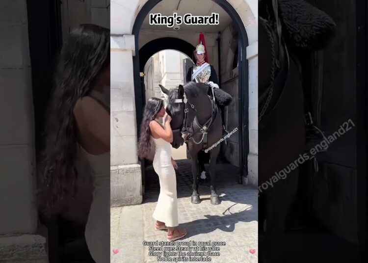 King’s Guard ❤️ Royal Horse 🐎 ❤️#kingsguard#horseguardsparade#peterellis#soldier#tourist