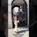 King’s Guard ❤️ Royal Horse 🐎 ❤️#kingsguard#horseguardsparade#peterellis#soldier#tourist