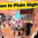 16 Secrets Every Royal Caribbean Cruiser Should Know