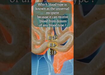 #Celebrity History #trivia #triviagame #triviatime… #Shorts #globalstudiio
