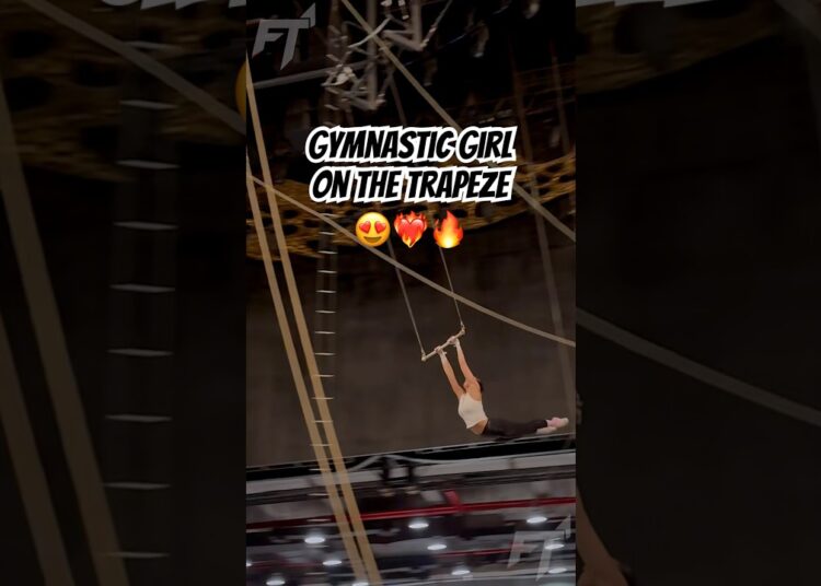 One swing, one chance 🤯❤️‍🔥 #trapeze #freedom #performance #artist #circus #gymnast #show #flying