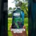 Affordable Summer Banger! – Ahmed al Maghribi Azure Royal
