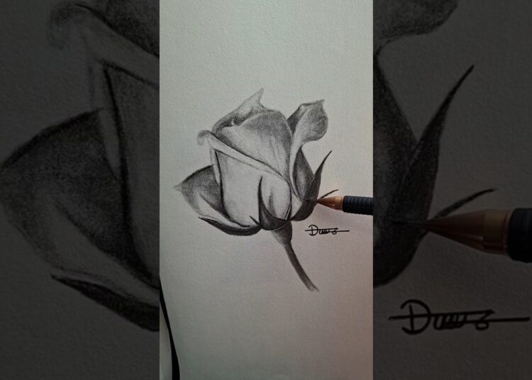 Thanks you! #shorts #art #drawing #artist #artwork
