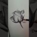 Thanks you! #shorts #art #drawing #artist #artwork
