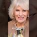 King Charles Refused Saving Camilla During Royal Banquet Crisis