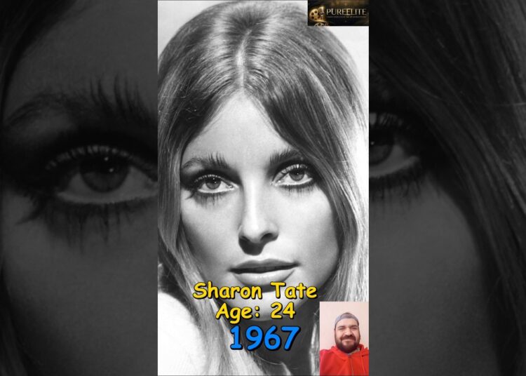 1960s Hollywood Stars: Then vs. Now (Evolution) | Part 3 🎬✨#celebrity