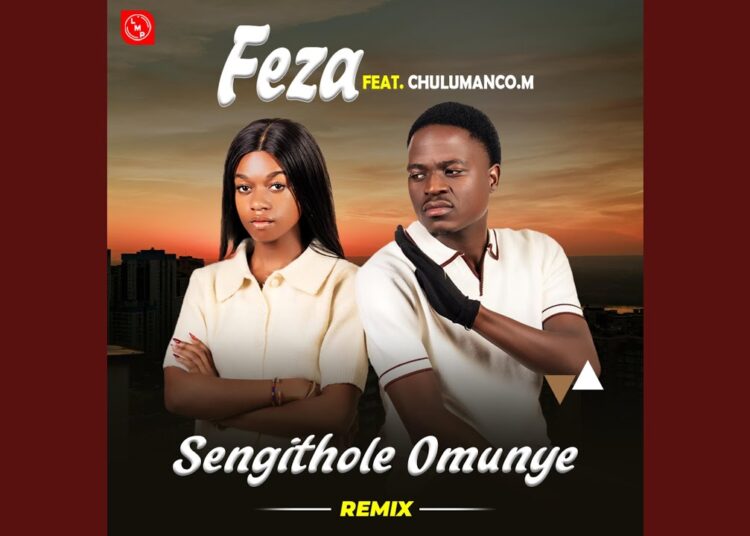 Sengithole Omunye (feat. Chulumanco M) (Remix )