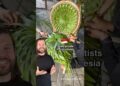 Bali Artists turn palm leaves into beautiful sculptures!