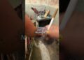 🧼💵#dibujo #pinceles #pintura #artistas #artist #artista #pintar #pintando #pintura #artvideo #arte