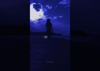 Royalty – Lyrics | Egzod | Maestro Chives | slowed + reverb | sped up | trending | tiktok | edit