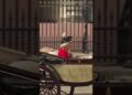 Royal Family Leave Buckingham Palace for Trooping the Colour 2026 #news #royals