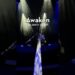 Awaken Your Soul on Celebrity Ascent