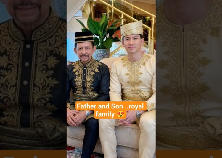 Father and Son Royal family #royal #mateen #royalbrunei #anisha #princemateen #majesty
