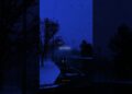 Royalty – Lyrics | Egzod | Maestro Chives | slowed + reverb | sped up | aesthetic | edit