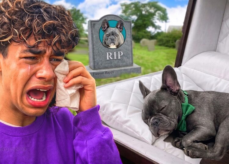 GOODBYE GUCCI… 😭💔 Ferran’s Saddest Moment! (Royalty Family Quiz)