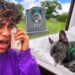 GOODBYE GUCCI… 😭💔 Ferran’s Saddest Moment! (Royalty Family Quiz)