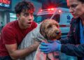 SOMETHING HAPPENED TO OUR DOG… | The Royalty Family