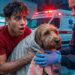 SOMETHING HAPPENED TO OUR DOG… | The Royalty Family