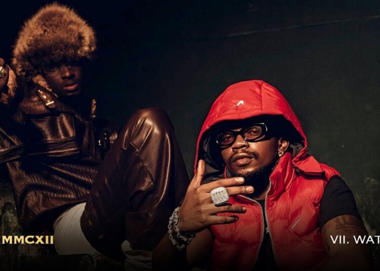 Marioo feat D Voice – Watu (Visualizer)